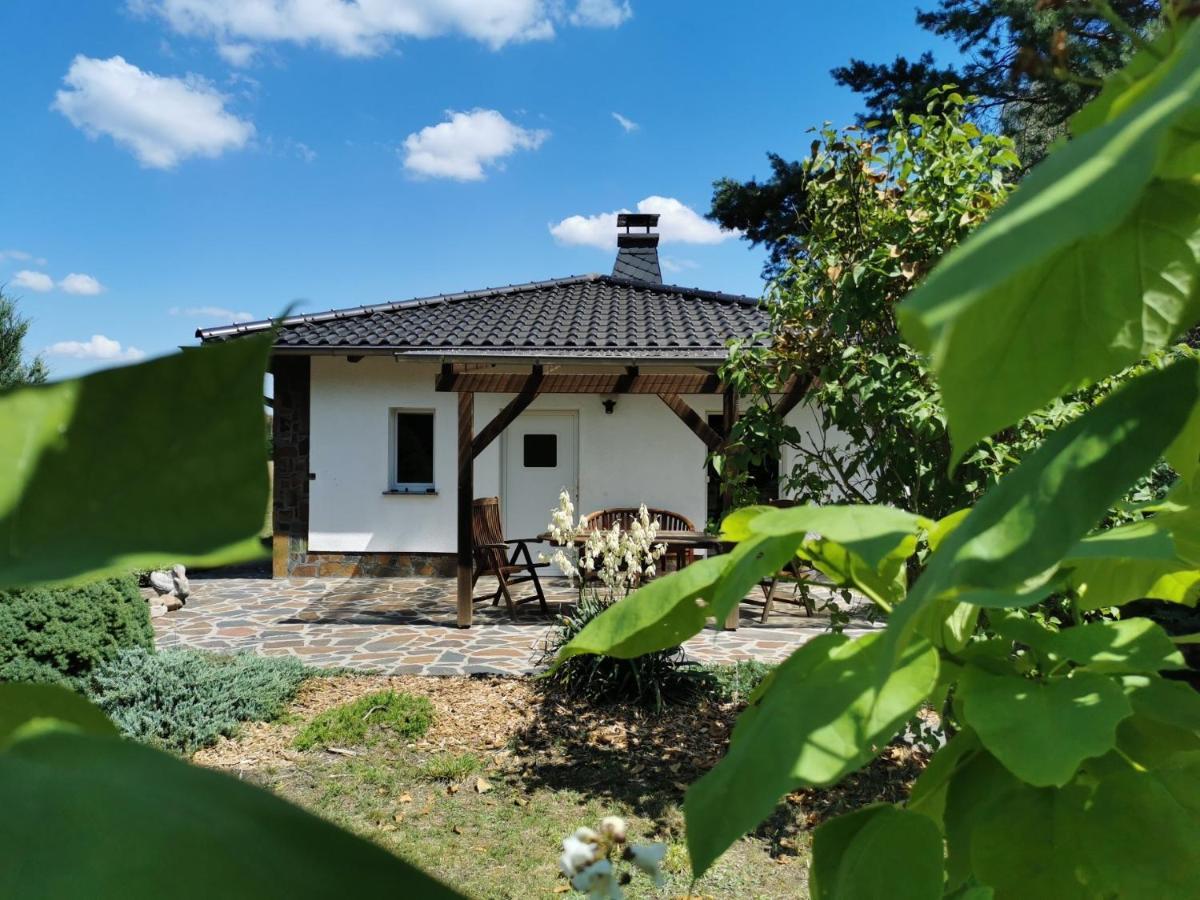 גרפנהייניכן Ferienhaus Hase Bomsdorfer Hof מראה חיצוני תמונה